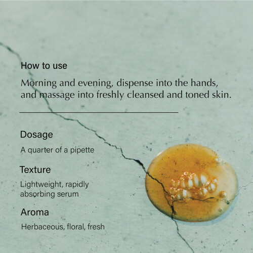 Aesop Aesop Pars 2
