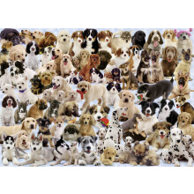 Rompecabezas Ravensburger Dogs Galore - Puzzle de 1000 Piezas para Adultos | Tecnología Softclick Única