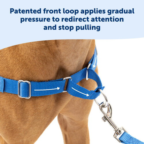 PetSafe PetSafe Easy Walk No-Pull Dog Harness - The Ultimate Harness to Help Stop Pulling - Take Control & Teach Better Leash Manners - Helps Prevent Pets Pul 2