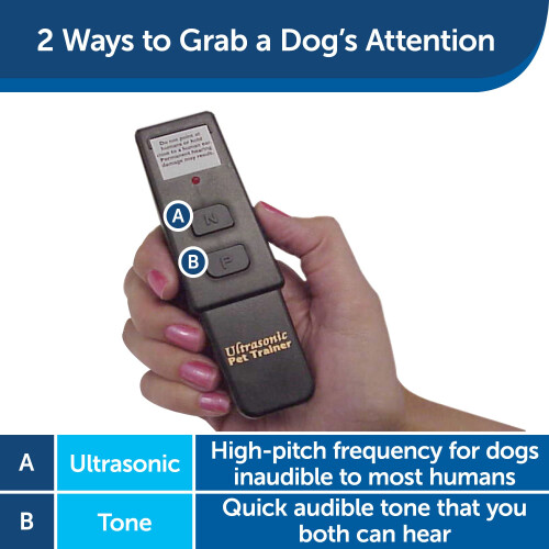 PetSafe PetSafe  Collarless Ultrasonic Remote Trainer  Two Tone  Safe  Anti Bark  Black 2