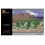 PEGASUS PG6508 - Lille Cactus Plastic Model Kit 8-32 mm 1