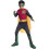 Rubies DC Superheroes Robin Costume  Child's Medium 1