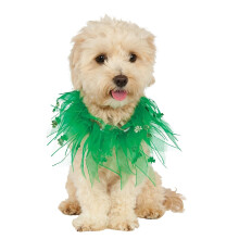 St. Patrick's Day Hondenkostuum met halsband medium/groot Veelkleurig klein/medium