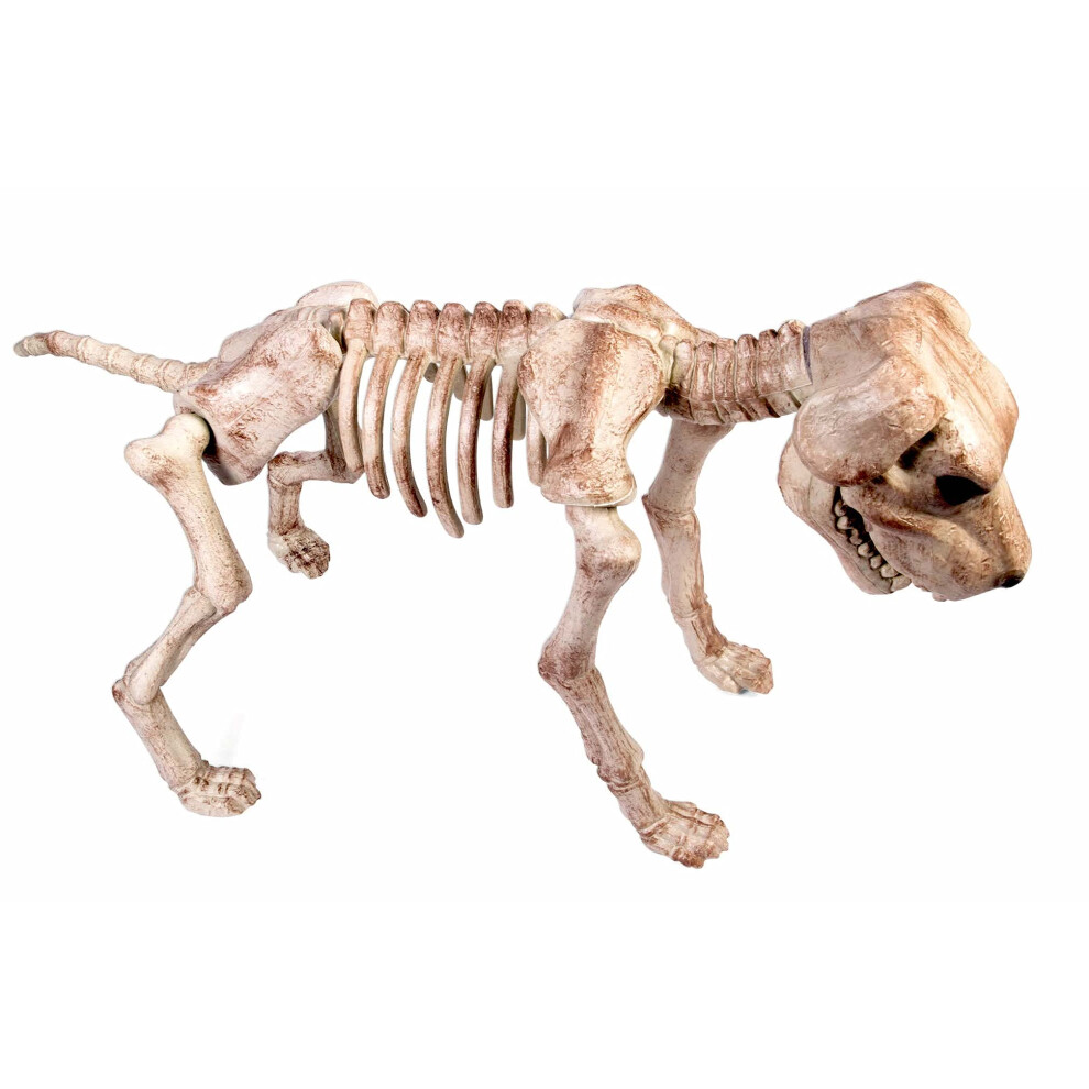 Rubies Forum Novelties Skeleton Dog Decoration, Standard