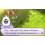 Nintendo Yo -Kai Watch - 3DS 2