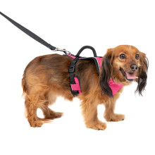 PetSafe EasySport Dog Harness - Adjustable Padded Dog Harness with Control Handle and Reflective Piping - Extra Small Pink