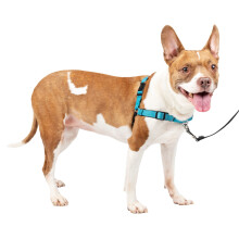 PetSafe Easy Walk Deluxe Dog Harness No Pull Dog Harness - Perfect for Leash & Harness Training - Stops Pets from Pulling and Choking on Walks - Medi