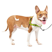 PetSafe Easy Walk Deluxe Dog Harness No Pull Dog Harness - Perfect for Leash & Harness Training - Stops Pets from Pulling and Choking on Walks - Medi