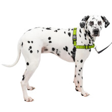 PetSafe Easy Walk Deluxe Dog Harness No Pull Dog Harness - Perfect for Leash & Harness Training - Stops Pets from Pulling and Choking on Walks - Larg