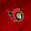 Northwest NHL Ottawa Senator 4