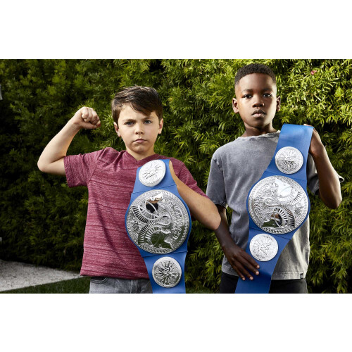 Mattel WWE Smackdown Tag Team Championship Title Belt 1