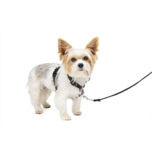 PetSafe 3 in 1 Dog Harness - No Pull Solution for Dogs - Reflective Dog Harness - Front D-Ring Clip Helps Stop Pulling - Comfortable Padded Straps - T