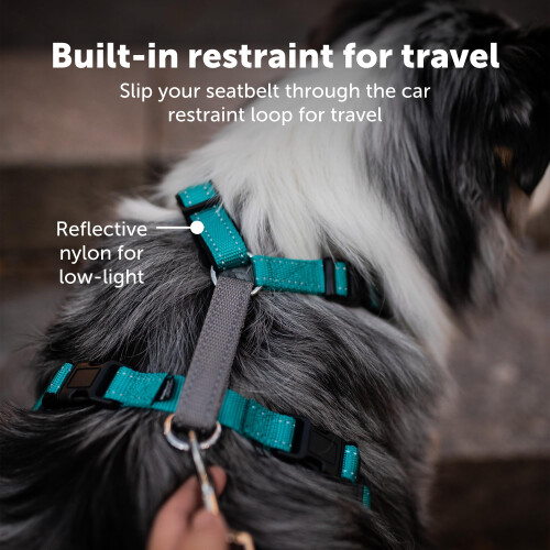 PetSafe PetSafe 3 in 1 Dog Harness - No Pull Solution for Dogs - Reflective Dog Harness - Front D-Ring Clip Helps Stop Pulling - Comfortable Padded Straps - T 2
