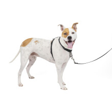 PetSafe 3 in 1 Dog Harness - No Pull Solution for Dogs - Reflective Dog Harness - Front D-Ring Clip Helps Stop Pulling - Comfortable Padded Straps - T