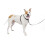 PetSafe PetSafe 3 in 1 Dog Harness - No Pull Solution for Dogs - Reflective Dog Harness - Front D-Ring Clip Helps Stop Pulling - Comfortable Padded Straps - T 1