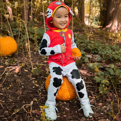 Nickelodeon Nickelodeon Paw Patrol Marshall Κάλυμμα Cosplay 3T 1