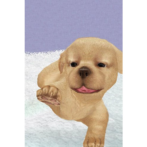 Petz Nursery  Nintendo DS (megjult) 1