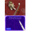Petz Catz 2  Nintendo DS (megjtva) 3