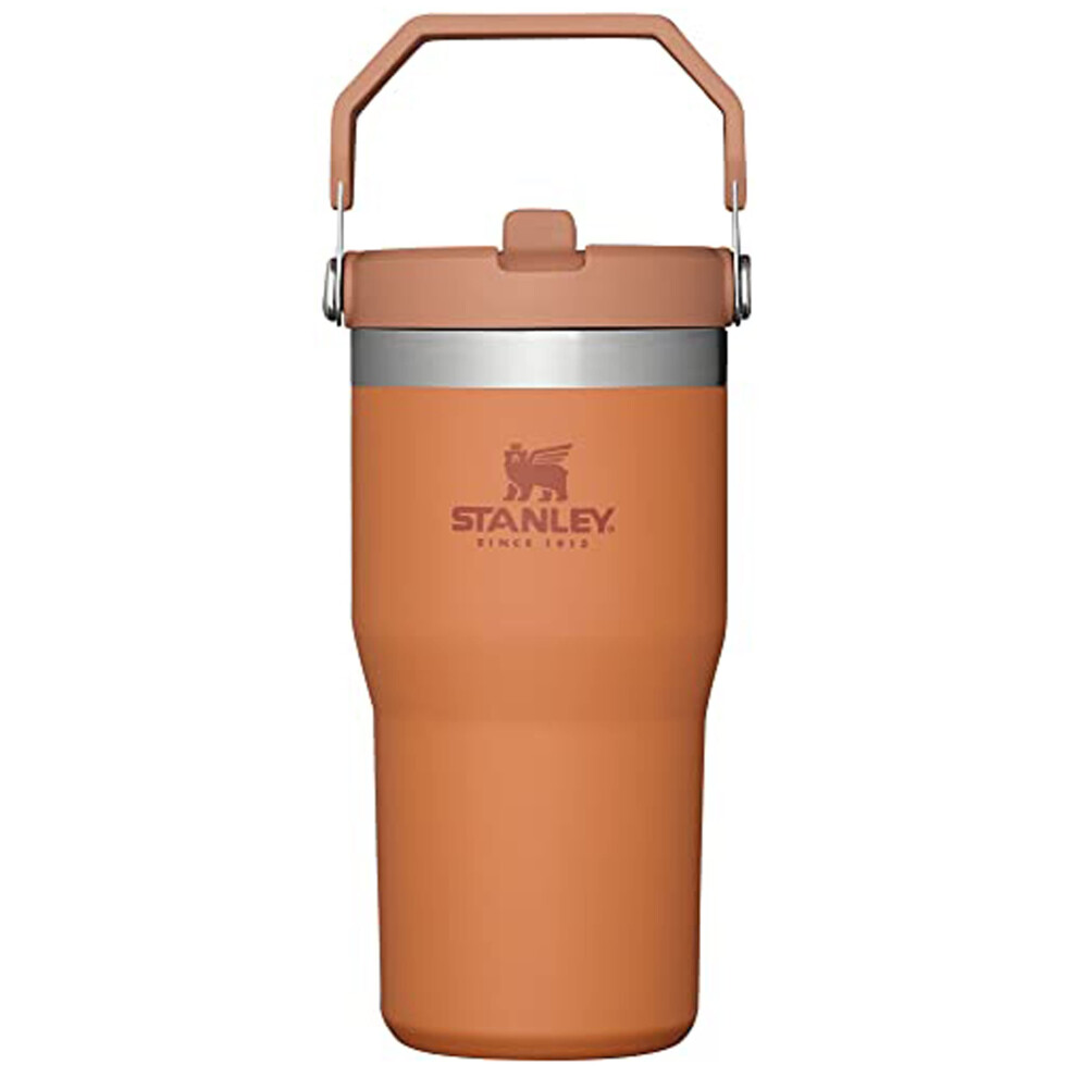 Stanley IceFlow Stainless Steel Tumbler with Straw - Vacuum Insulated Water Bottle for Home  Office or Car Reusable Cup Leak Resistant Flip Cold 12 Ho