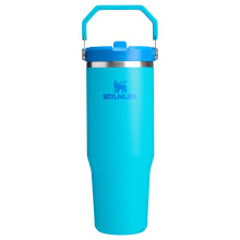 Stanley IceFlow 2.0 Flip Straw Tumbler with Handle 30 oz | Twist On Lid and Flip Up Straw | Leak Resistant Water Bottle | Insulated Stainless Steel |