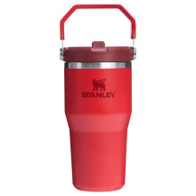Stanley IceFlow 2.0 Flip Straw Tumbler mit Griff 20 oz | Deckel aufdrehen und Strohhalm hochklappen | Auslaufsichere Wasserflasche | Isolierter Edels