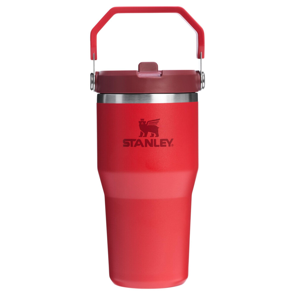 Stanley IceFlow 2.0 Flip Straw Tumbler with Handle 20 oz | Twist On Lid and Flip Up Straw | Leak Resistant Water Bottle | Insulated Stainless Steel |