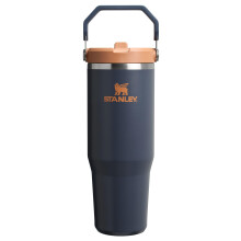 Stanley IceFlow 2.0 Flip Straw Tumbler mit Griff 30 oz | Deckel aufdrehen und Strohhalm hochklappen | Auslaufsichere Wasserflasche | Isolierter Edels