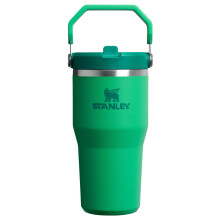 Stanley IceFlow 2.0 Flip Straw Tumbler with Handle 20 oz | Twist On Lid and Flip Up Straw | Leak Resistant Water Bottle | Insulated Stainless Steel |