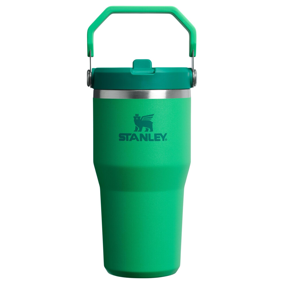 Stanley IceFlow 2.0 Flip Straw Tumbler with Handle 20 oz | Twist On Lid and Flip Up Straw | Leak Resistant Water Bottle | Insulated Stainless Steel |