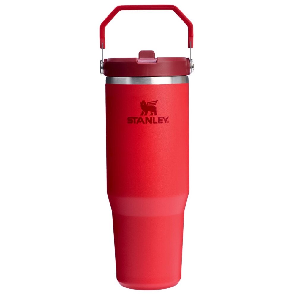Stanley IceFlow 2.0 Flip Straw Tumbler with Handle 30 oz | Twist On Lid and Flip Up Straw | Leak Resistant Water Bottle | Insulated Stainless Steel |