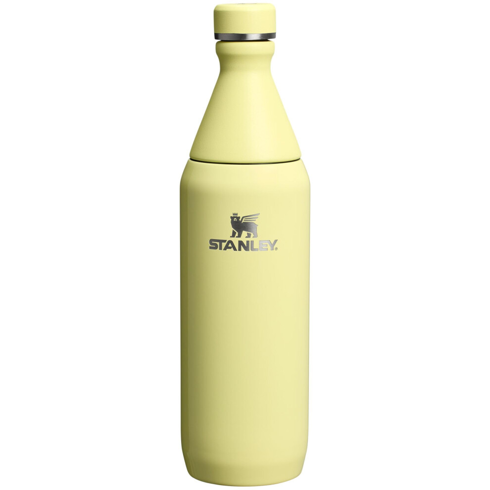 Stanley All Day Slim Bottle 20 oz | Leakproof Twist on Lid | Slim Design for Travel and Gym | Insulated Stainless Steel Water Bottle | BPA-Free | Pome