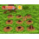 Let's Play Garden - Nintendo Wii 2