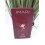 Avon Avon Imari Eau de Toilette Spray 3