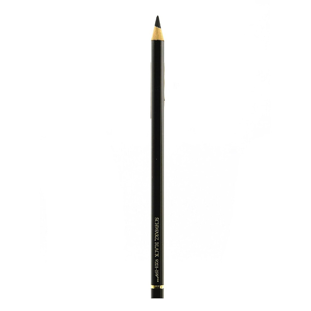 Faber-Castell Polychromos Artist Colored Pencils (Each) Black 199 [Pack of 12 ]
