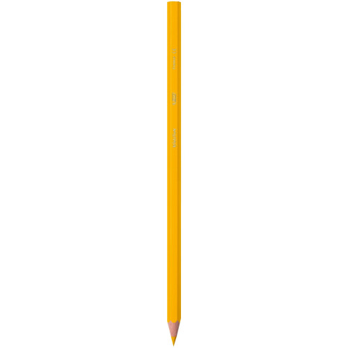 BIC Bic Kids Evolution ECOlutions Colouring Pencils - Assorted Colours  Classpack of 288 2