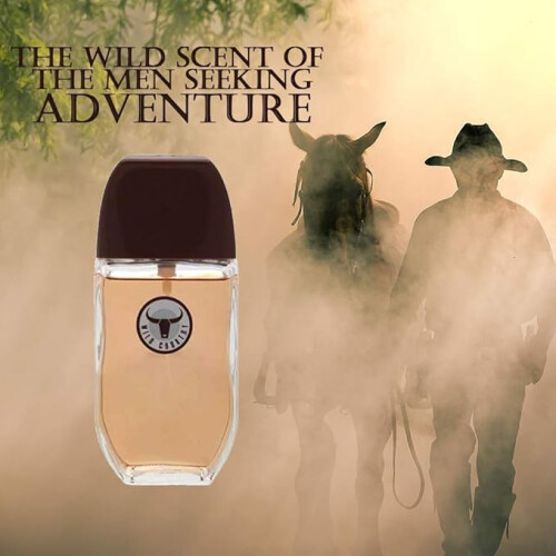 Avon AVON Wild Country Cologne Spray for Men 1