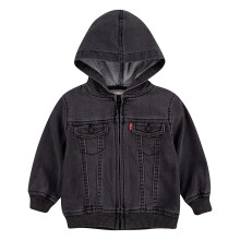 Levi's Baby Boys Hoodie Pebble Grey 24m