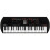 Casio Casio Casiotone SA-81 Teclado porttil de 44 teclas com mini teclas 2