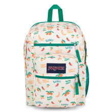 Sac     dos pour ordinateur portable JanSport - Sac     dos pour ordinateur avec 2 compartiments, bretelles ergonomiques, housse pour ordinateur port
