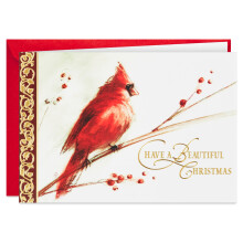 Hallmark dobozos karcsonyi kpeslapok festett Cardinal (40 krtya s 40 bortk) Gynyru karcsony