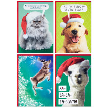 Hallmark Shoebox Vicces dobozos karcsonyi kpeslapok (24 krtya s 24 bortk) Kutya macska lma rnszarvas
