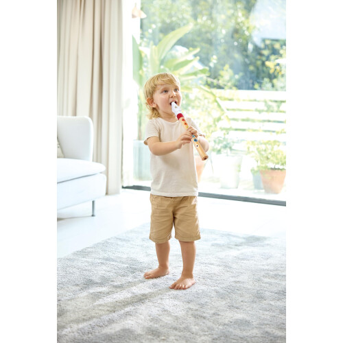 Hape Recorder for Music Beginners Mehrfarbig (E0640) 1