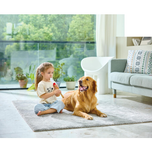 Hape Recorder for Music Beginners Mehrfarbig (E0640) 2