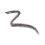 Jane Iredale PureBrow Brow Powder Soft Black 2