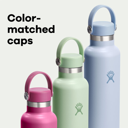 Hydro Flask Hydro Flask 21 Oz Standard Flex Cap Reef 2