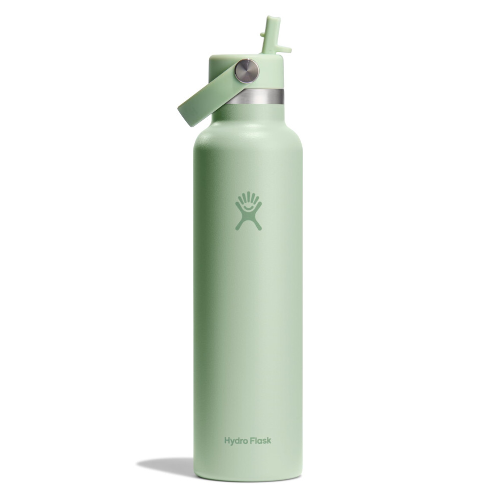 Hydro Flask 24 Oz Standard Flex Strohhalmverschluss Aloe-image