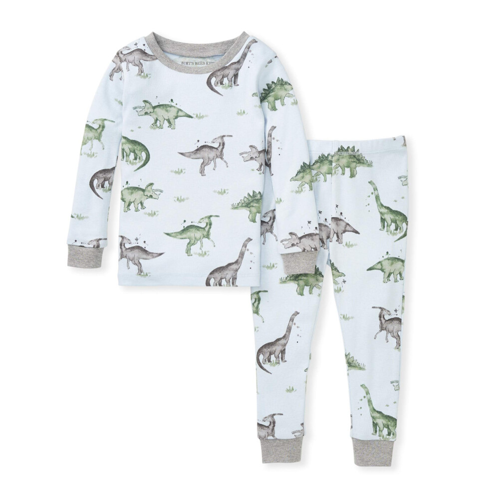Burt's Bees Baby baby boys Pajamas  Tee Pant 2-piece Pj Set  100% Organic Cotton and Toddler Pajama Bottoms  Happy Herbivores  5T US