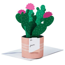Hallmark Paper Wonder Pop-Up-Karte (Topfkaktus) f?r Muttertag, Geburtstag, ?Ich denke an dich?, ?Gl?ckwunsch, Gute Besserung?, ?Anerkennung? f?r