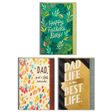 Hallmark-paket med 3 olika farsdagskort (underbara pappor)