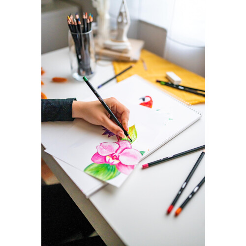 BIC Inensity Premium 12-farvede BIC-blyanter 1